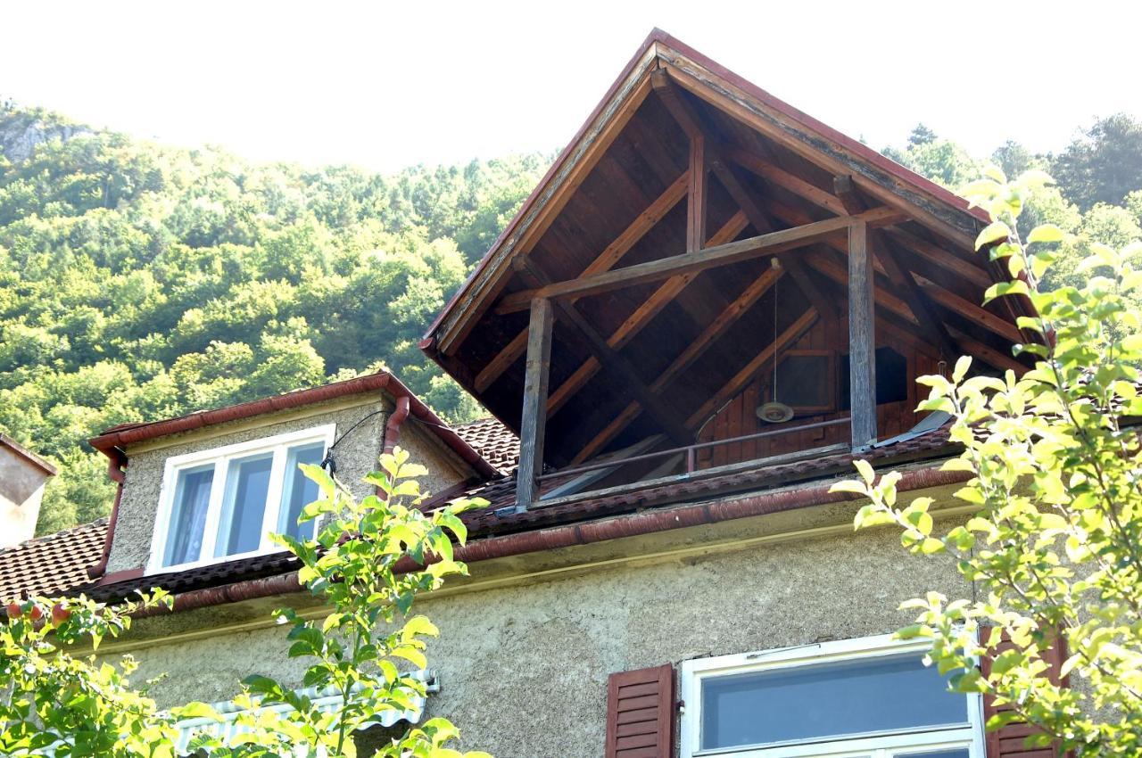 Brasov Valley公寓 外观 照片